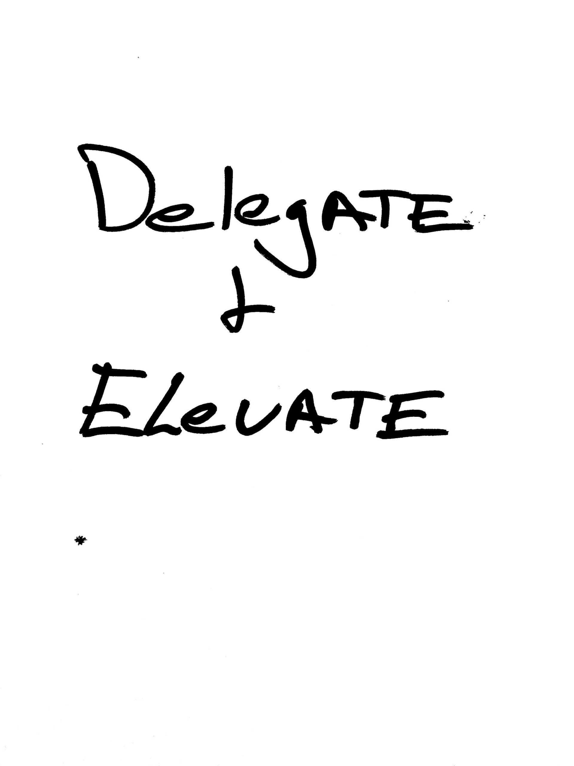 delegate & elevate 