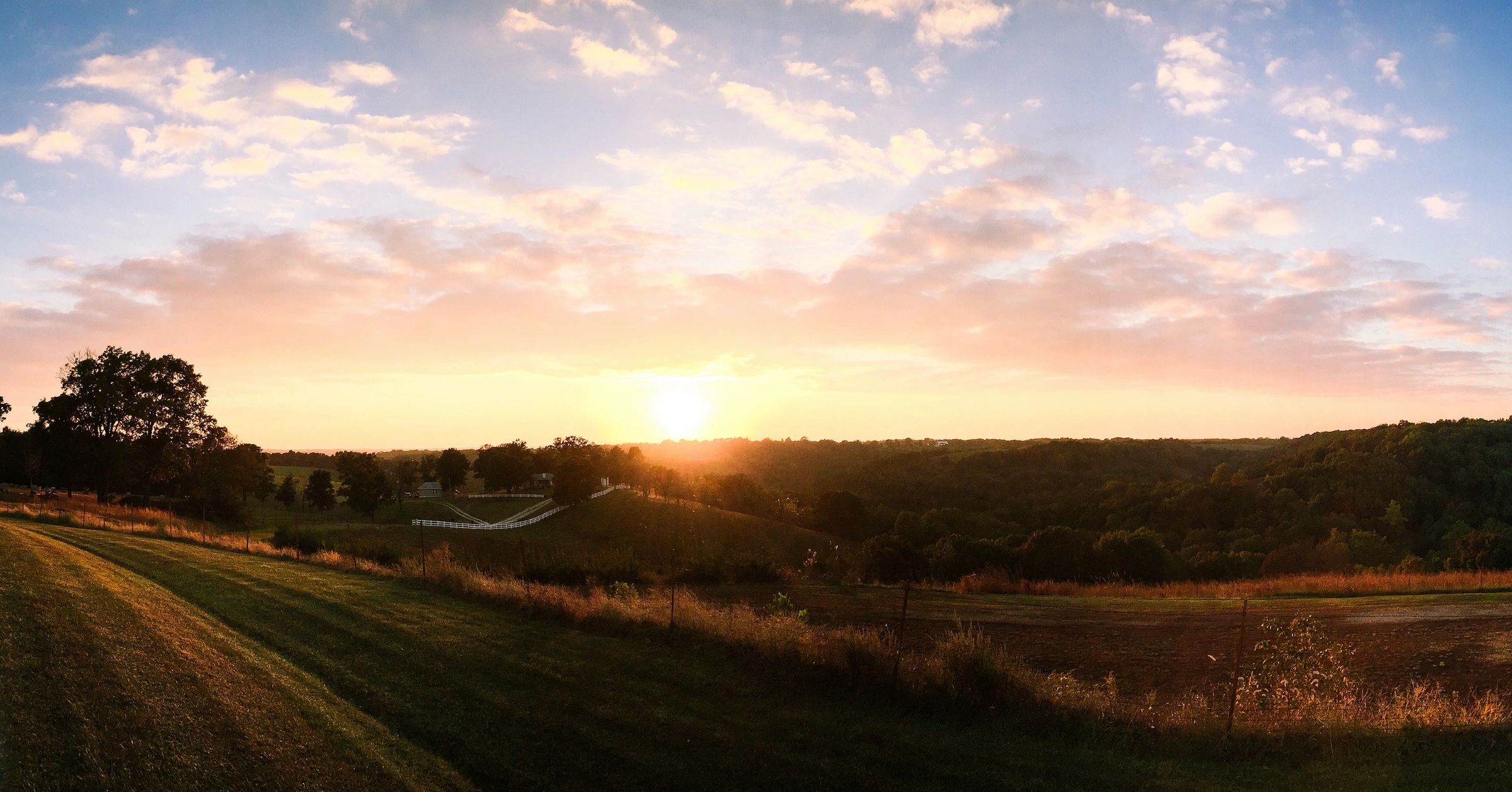 Sunset in the Field